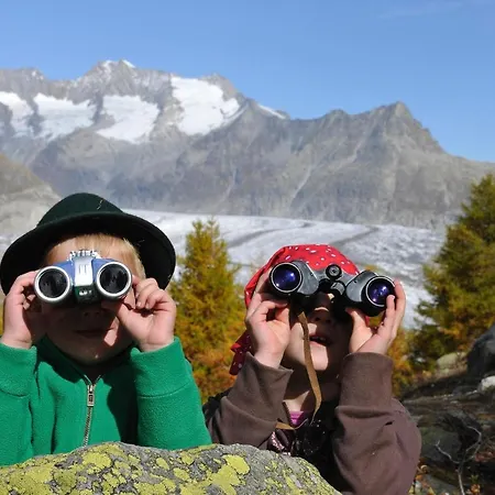 Lejlighed Bettmerlodge Bettmeralp