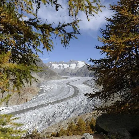 Bettmerlodge * Bettmeralp