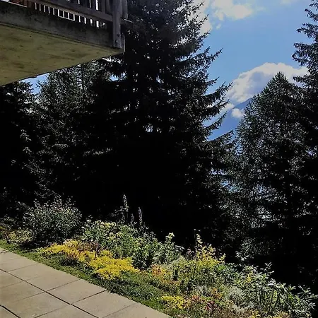 Bettmerlodge Διαμέρισμα *