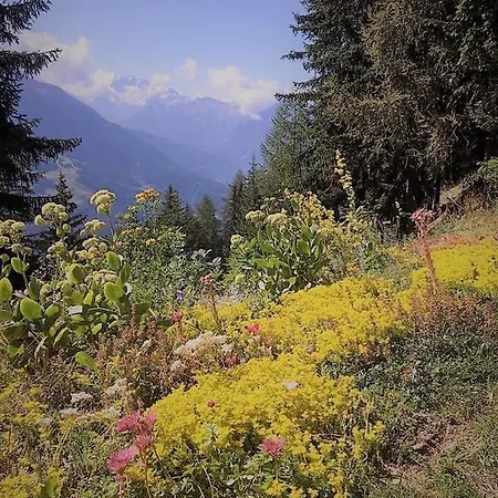 Lägenhet Bettmerlodge *