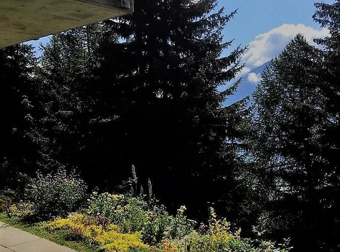 Bettmerlodge דירה *