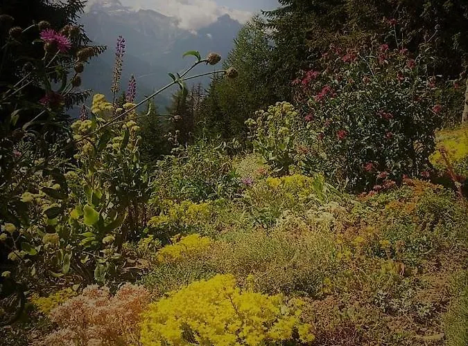 דירה Bettmerlodge בטמראלפ