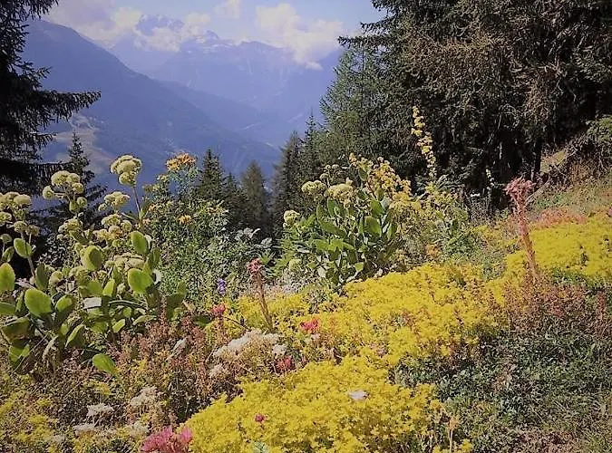 דירה Bettmerlodge *